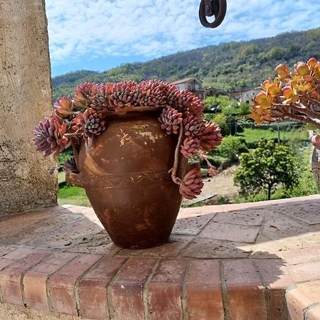 Country House B&B Antica Dimora Del Sole Camerota Exterior foto